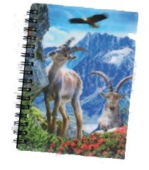 Carnet 3D Bouquetin 145x105 mm - Créations Dani
