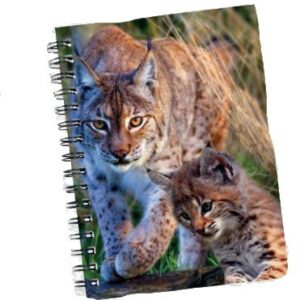 Carnet 3D Lynx 145x105 mm - Créations Dani