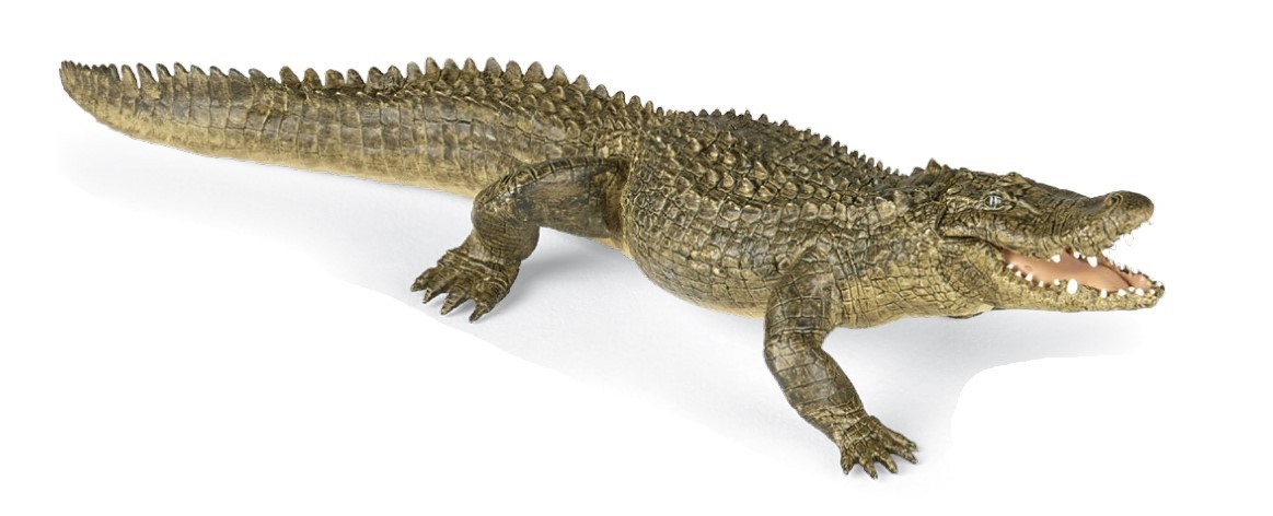Alligator - Papo