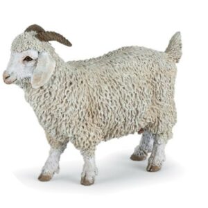 Chèvre angora - Papo