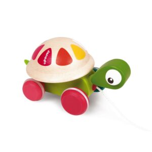 Tortue à promener zigolos (bois) - Janod