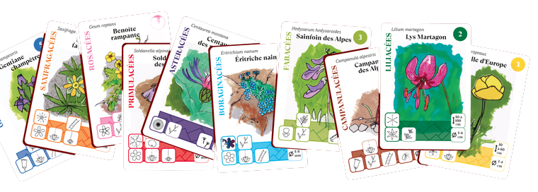 Jeu des 10 familles - Fleurs des Alpes – Image 2