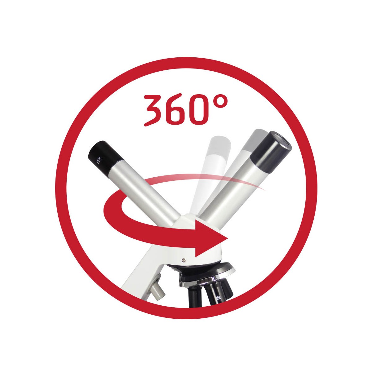 microscope 50 expériences - Buki – Image 4