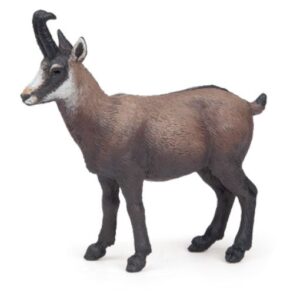 chamois - Papo