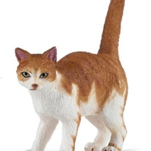Chat roux - Papo