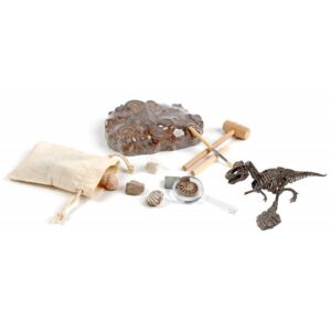 Kit paleo : a travers les âges - Ulysse