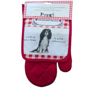 Lot de gant + king charles