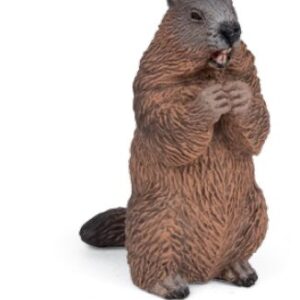 marmotte - Papo
