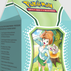 Pokémon coffrte tournoi  Prof keteleeria