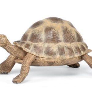 Tortue d'hermann - Papo